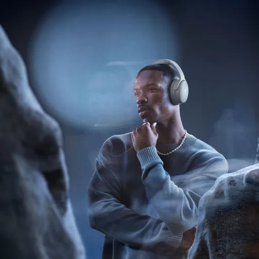 71HHvErLynL._AC_SL1500_